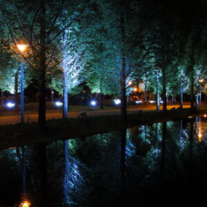 [DSC-WX1] 012.jpg